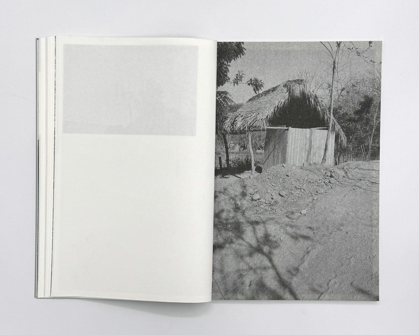 Paradise Lost 004