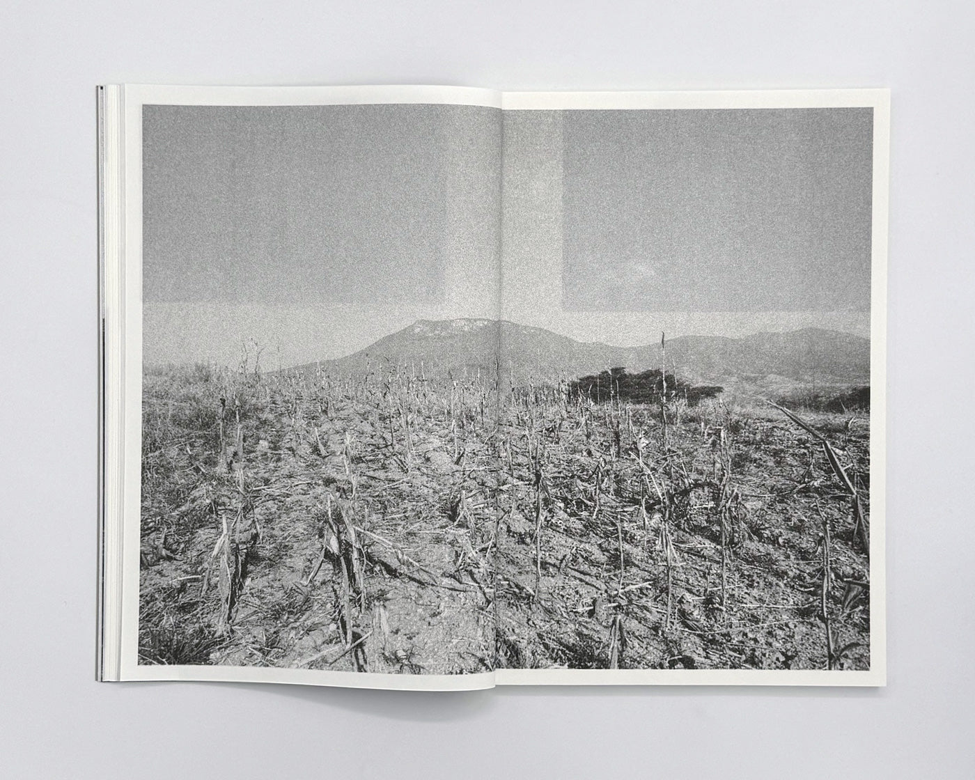 Paradise Lost 004