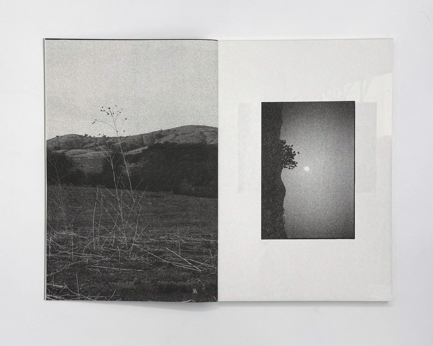 Paradise Lost 004